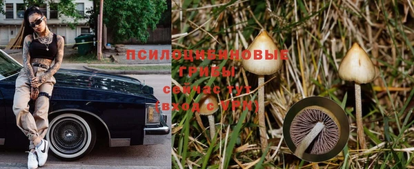 спиды Краснослободск