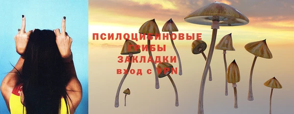 молекула духа Красноперекопск