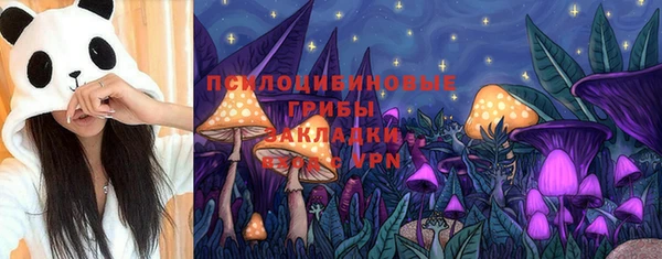 спиды Краснослободск